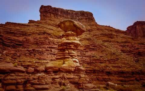 Mushroom Near Hurrah Pass On Chicken Corners Trail, Moab, UT