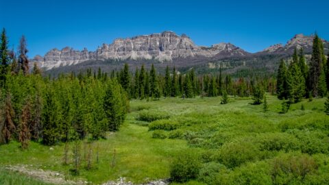 Along Scenic Byway 26 Near Grand Teton National Park, WY
