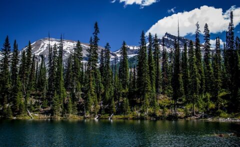 Near Twin Falls, Look At Marpole Lake And Trolltinder Mountain, Yoho National Park, BC