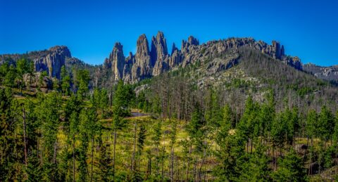 Needles In Custer State Park, Black Hills, SD