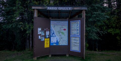 Night On Rabid Grizzly Rest Area On Cassiar Highway, BC