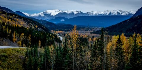 On Alaska Highway Going South Towards Stone Mountain Provincial Park, BC