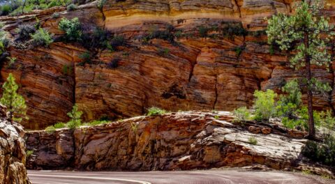 On Scenic Byway 9, Zion National Park, UT