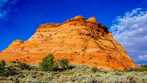 On The Trail Through Pow Hole, Varmilion Cliffs National Monument, AZ