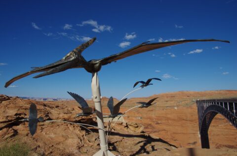 Reptile At Glen Canyon Dam, Page, AZ