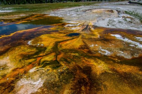 Psychedelic colors around Hot Pool, Yellowstone National Park, WY