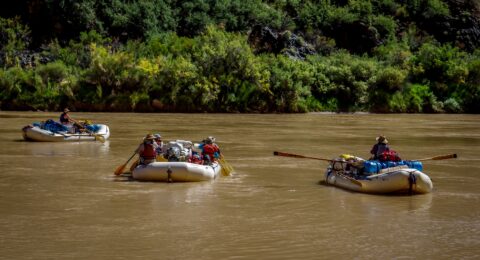 Rafters Down Colorado River In  Whitmore Canyon, Grand Canyon North Rim, AZ