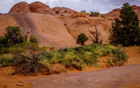 Rain Or Shine, You Can Drive Up There Like Everyone Else On Poison Spider Trail, Moab, UT