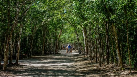 Rent-A Bicycle in Coba Archaeological Site, Quintana Roo, Mexico