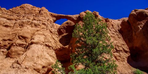 Shakespeare Arch In Kodachrome Basin State Park, UT