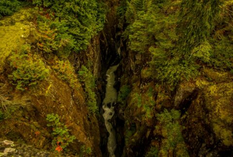 Small Canyon Made By Sunbeam Creek In Mount Rainier National Park, WA