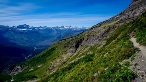 Snow On Highline Trail, And Going-To-The Sun-Road  Below, Glacier National Park, MT