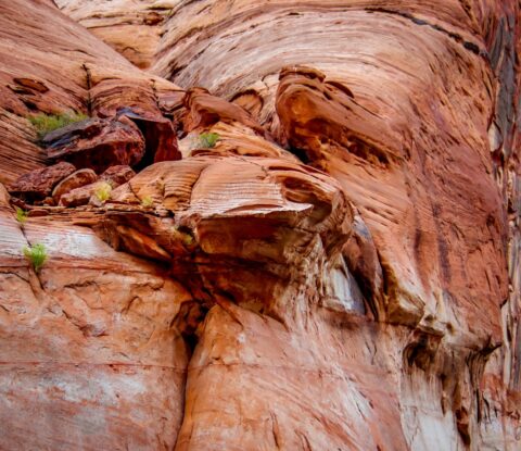 Strange Rock Formation In Glen Canyon Near Rainbow Bridge, UT