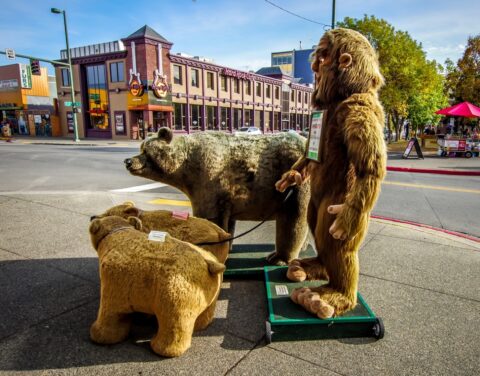 Street Scenery In Downtown Anchorage, AK