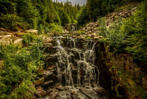 Sunbeam Creek Cascades in Mount Rainier National Park, WA