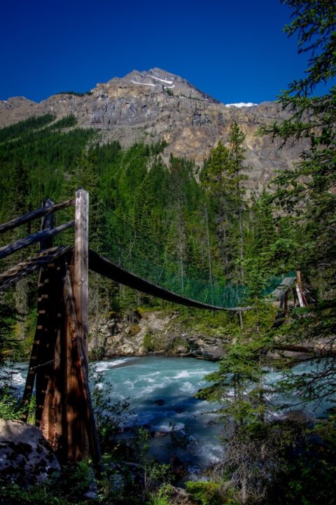 Suspension Bridge Over Robson River At Whitehorn, Along The Trail To Berg Lake, Mount Robson Provincial Park, BC