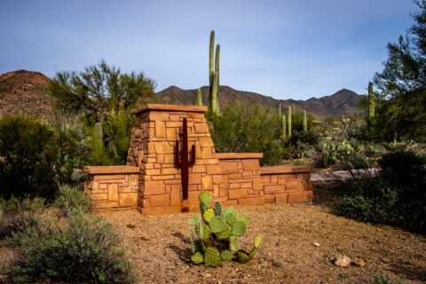 Symbol And Live Cacti In West Saguaro National Park, Tucson, AZ