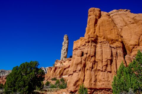 Tan-White Sedimentary Pipe In Contrast To Orange Entrada Bluffs In Kodachrome Basin State Park, UT