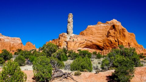 Tan-White Sedimentary Pipe Is Symbol Of Kodachrome Basin State Park, UT