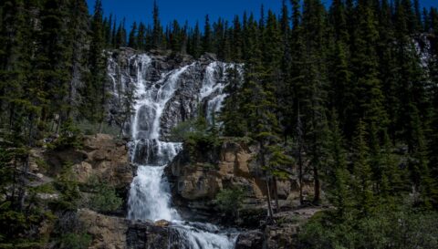 Tangle Creek Falls Along Highway 93 In Jasper National Park, AB