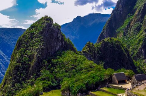 The Condor, Machu Picchu Archaeological Site, Peru
