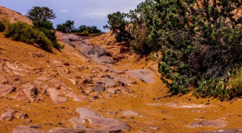 There Is Only One Way Or Highway On Poison Spider Trail, Moab, UT