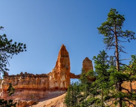 Tower Bridge in Bryce Canyon National Park, UT