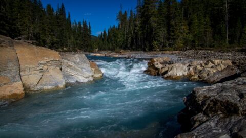 Upper Thompson Falls in Glacier National Park Near Golden, BC