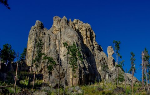 Volcanic Rock In Custer State Park, Black Hills, SD