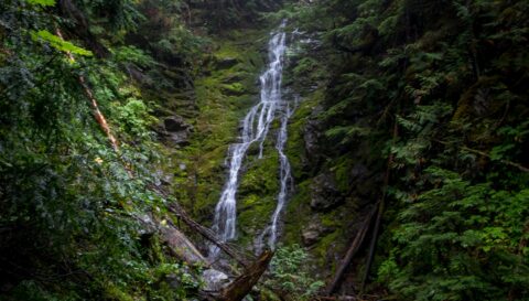 Waterfall In Ancient Forest-Chun T’oh Whudujut Provincial Park On Highway 16, BC