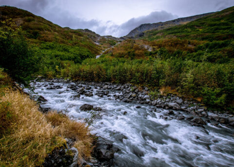 Whittier Creek And Waterfalls In The Distance, Whittier, AK