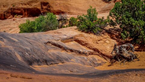 Yes They Drive Here, Poison Spider Trail, Moab, UT