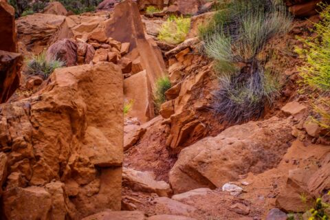 Yes, They Ride Bicycles Even Here On Portal Trail, Moab, UT
