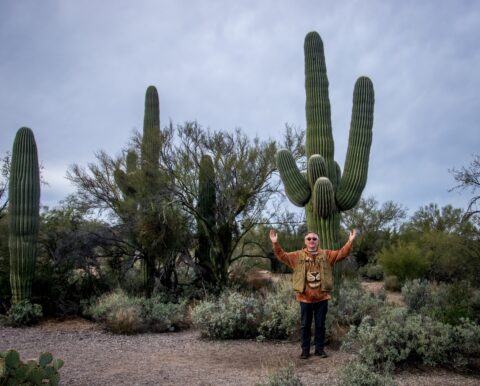 rrasha And Saguaro Cacti In East Saguaro National Park, Tucson, AZ