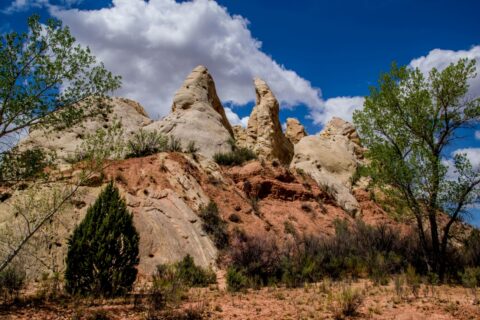 Scenic Campsite In Grand Staircase Escalante National Monument, AZ