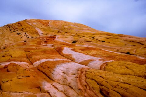 Yellow Hill In Grand Staircase Escalante National Monument, AZ